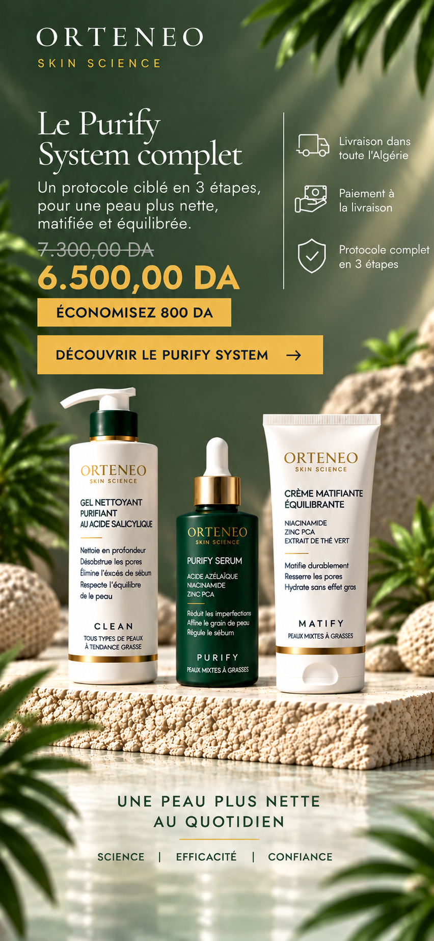 Purify System ORTENEO — visuel mobile du protocole complet en 3 étapes