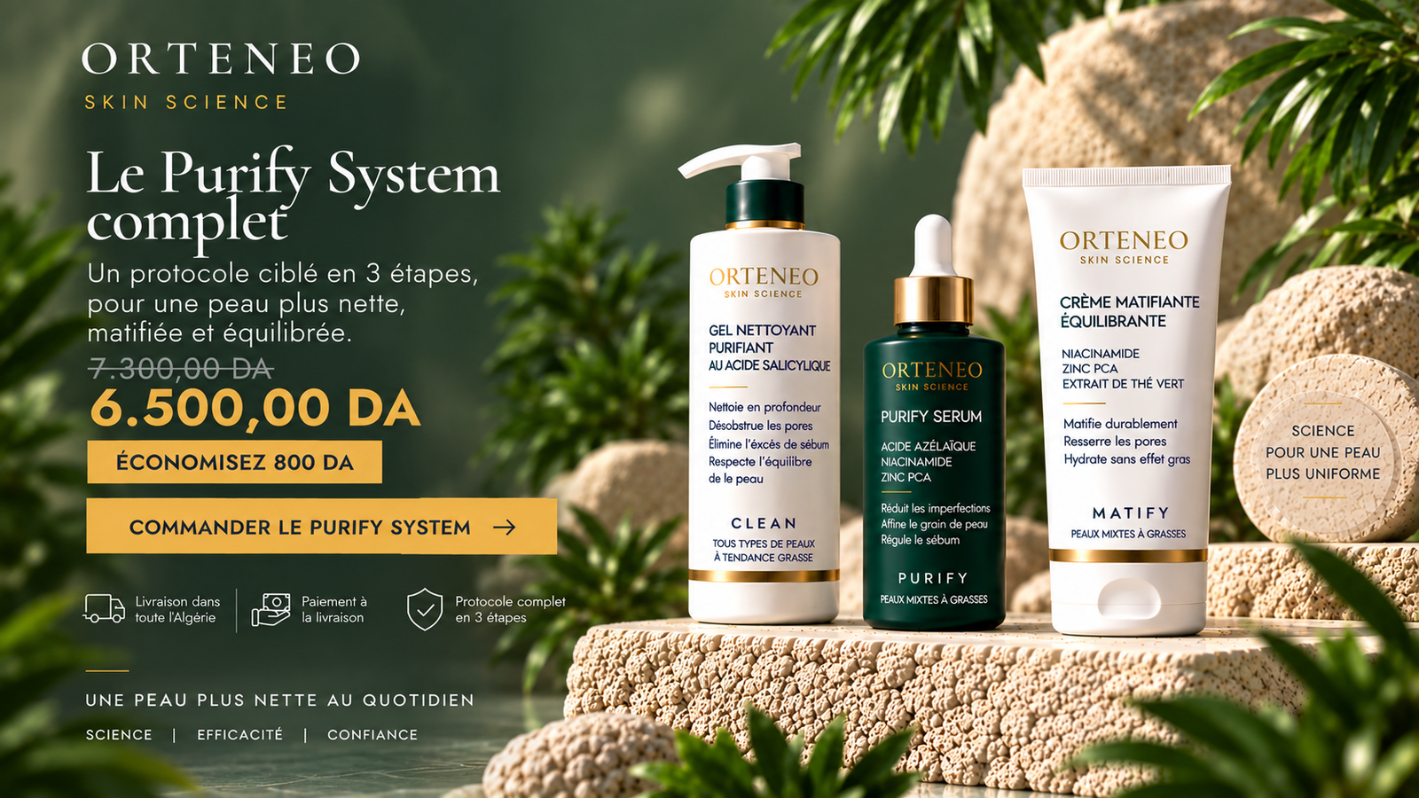 Purify System ORTENEO — visuel desktop du protocole complet en 3 étapes